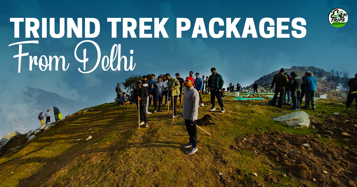 Triund trek packages from Delhi
